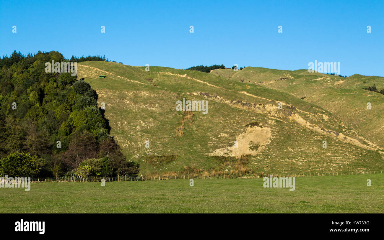 Good example of land erosion on New Zealand farmland hills. Note te bush that was left. Stock Photo