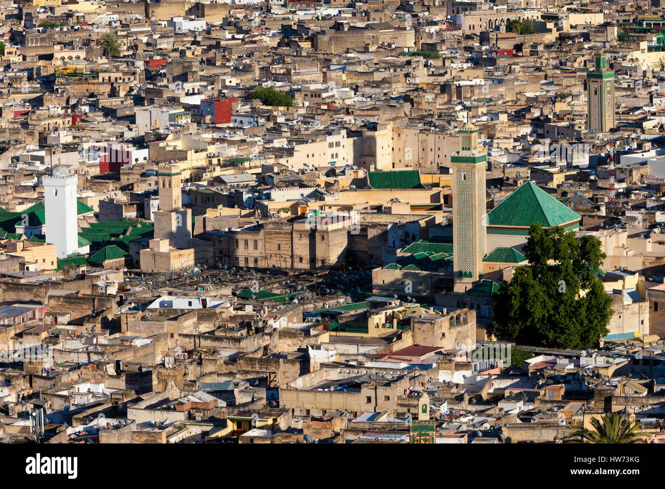 Fes, Morocco.  Old City (Fes El-Bali), Kairaouine Mosque (on left, with white minaret), Zawiya of Moulay Idris (center, with tiled minaret). Stock Photo