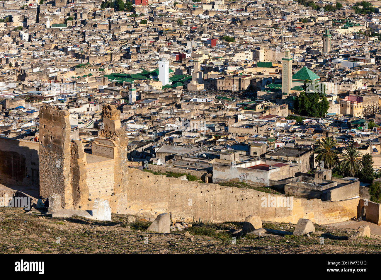 Fes, Morocco.  Old City (Fes El-Bali), Kairaouine Mosque (in center, with white minaret), Zawiya of Moulay Idris (on right, with tiled minaret).  Rema Stock Photo