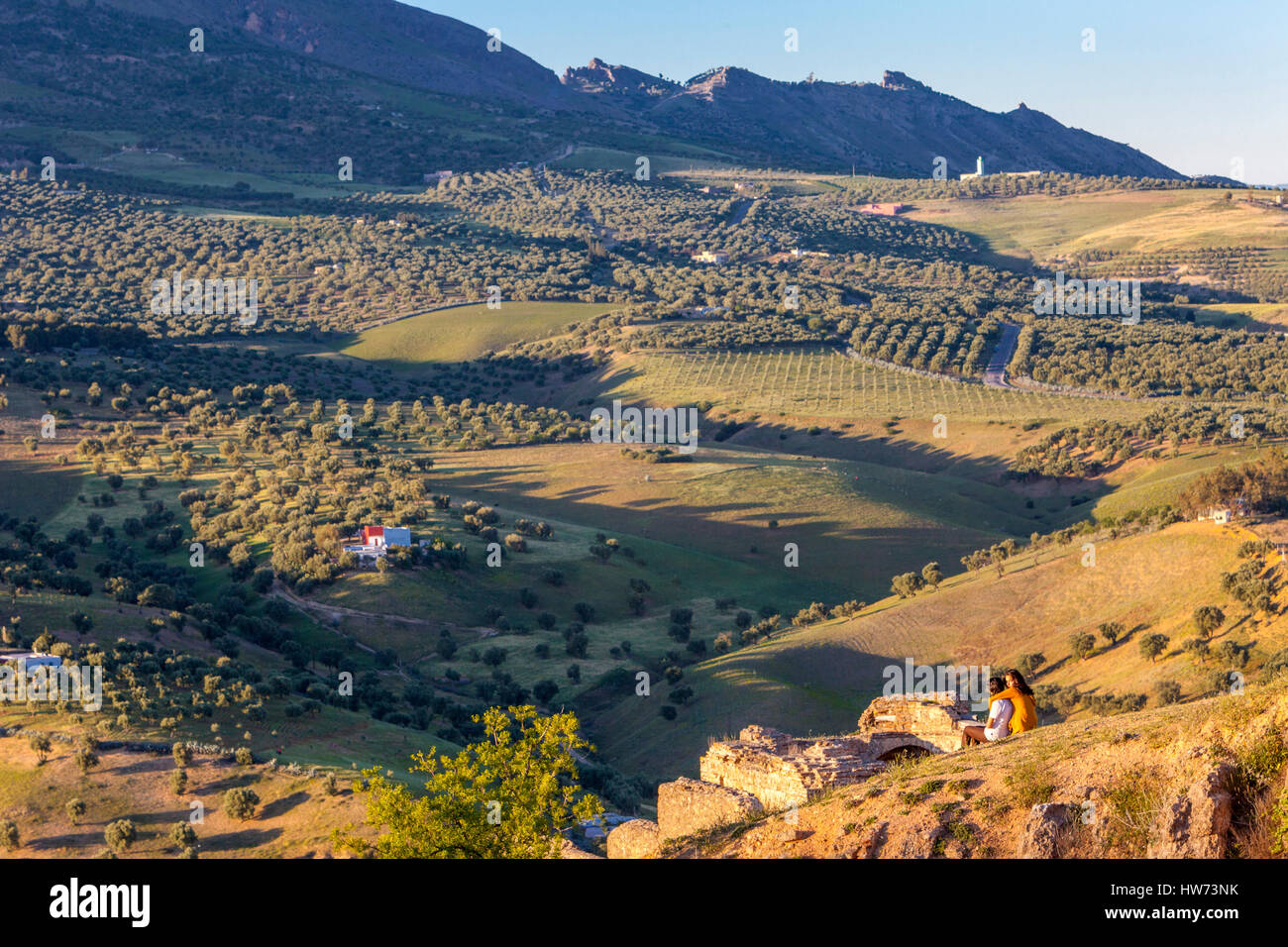 Fes, Morocco.  Olive Trees and Farmland Seen from the Merenid Tombs. Stock Photo