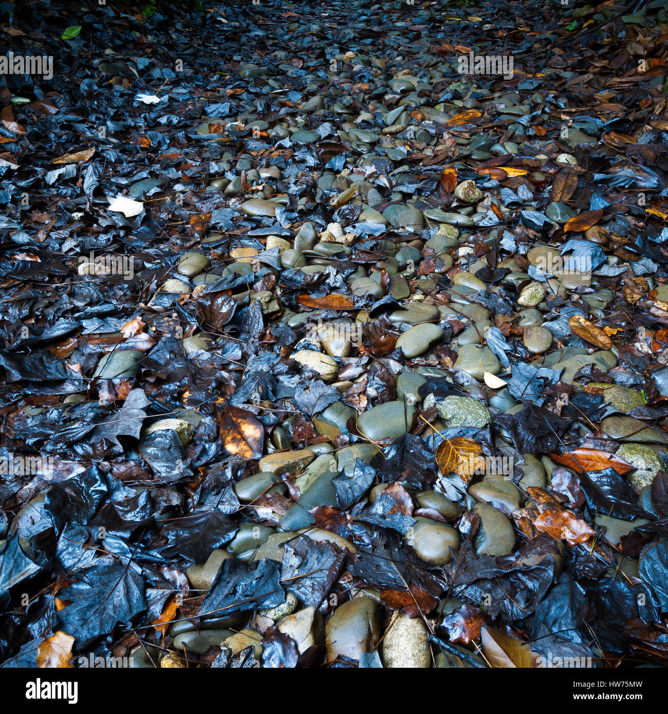 Pebble Stone path in an asian garden Stock Photo