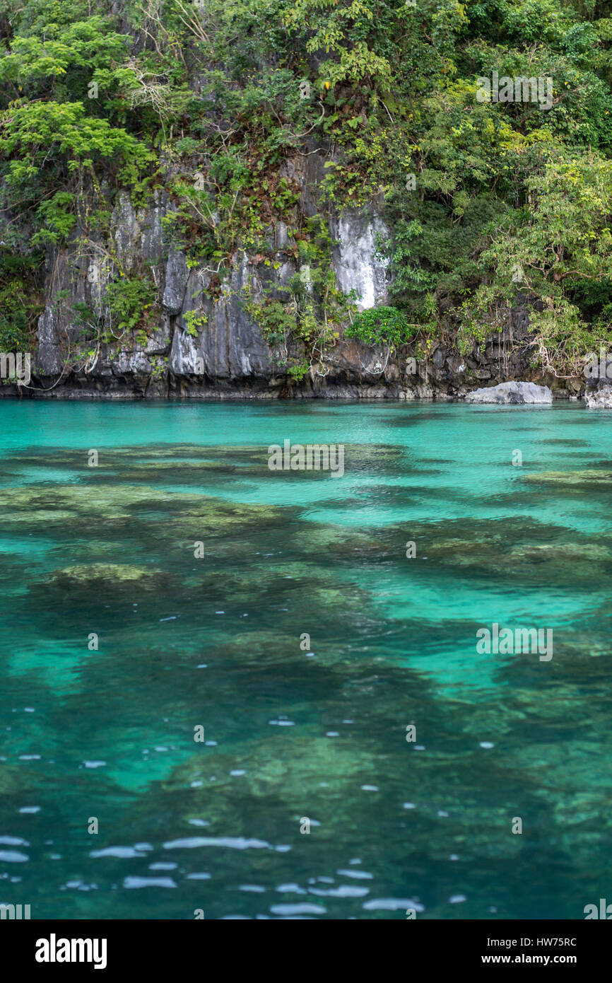 The crystal clear waters of a tropical island lagoon showing the rocks and plant life below with a cliff face background covered in trees and plants. Stock Photo