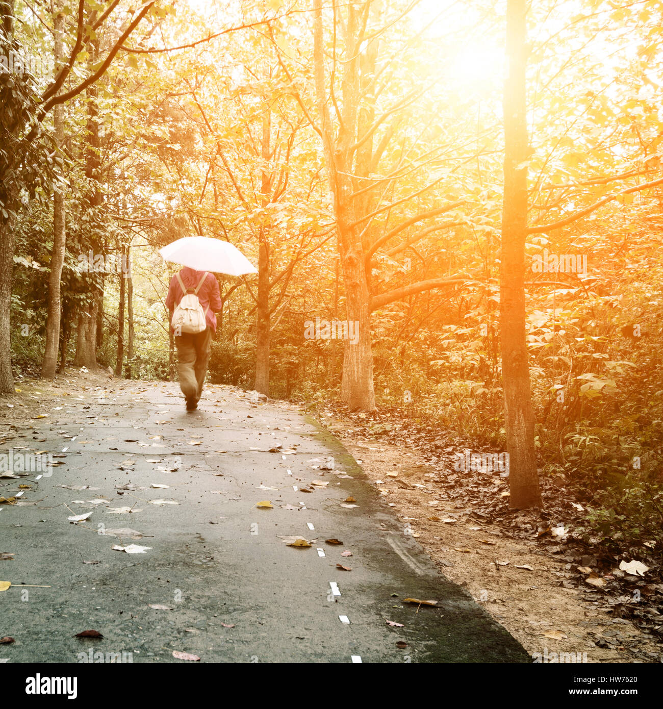 Solitude concept - lonely sad woman in the woods Stock Photo