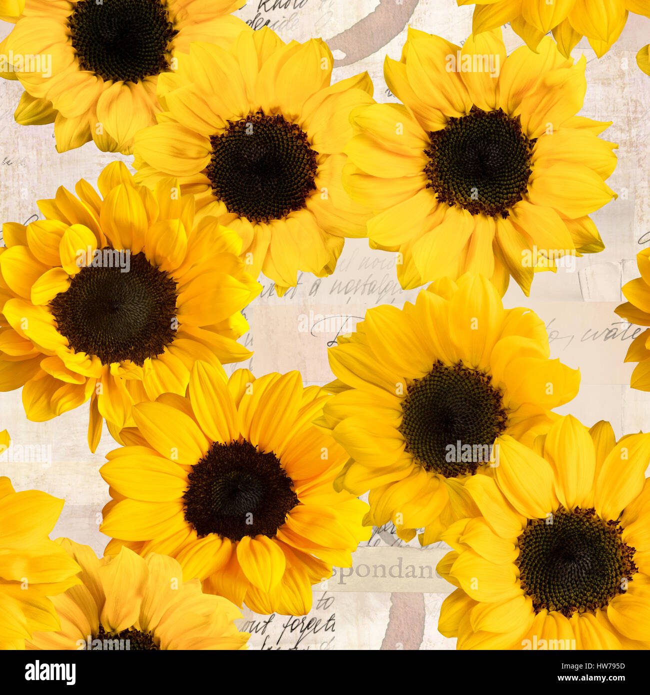 Seamless sunflowers pattern on vintage style collage with fragments of