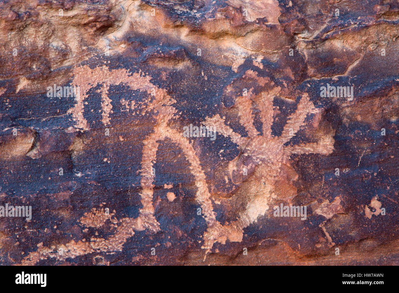 Petroglyphs at Big Buffalo Site, Nine Mile Canyon National Backcountry