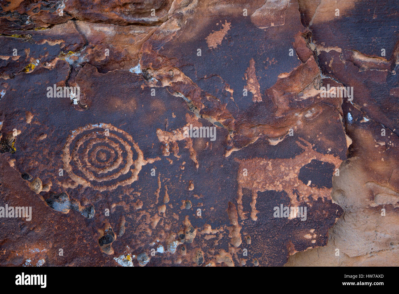 Petroglyphs at Big Buffalo Site, Nine Mile Canyon National Backcountry