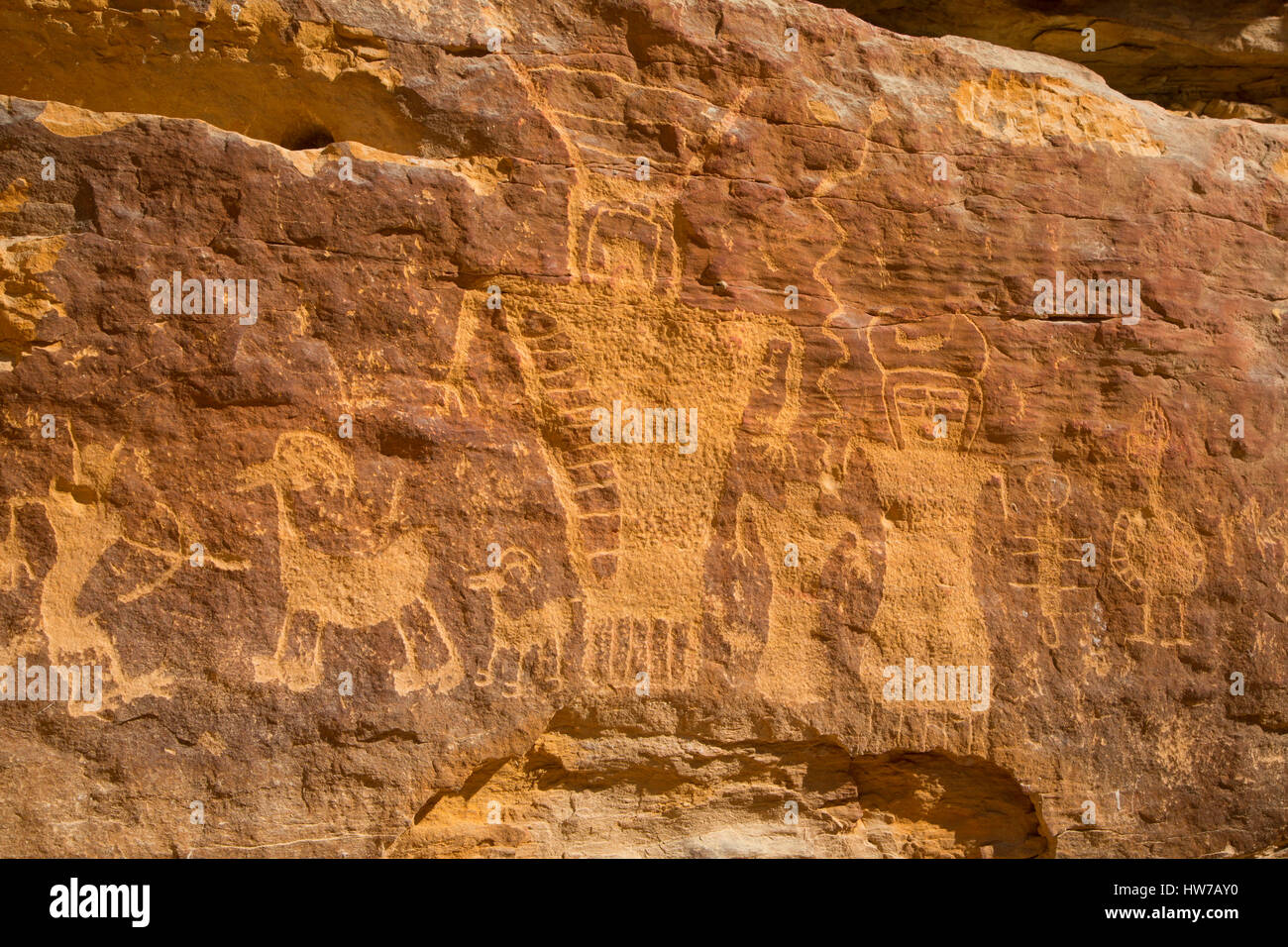 Petroglyphs, Nine Mile Canyon National Backcountry Byway, Utah Stock