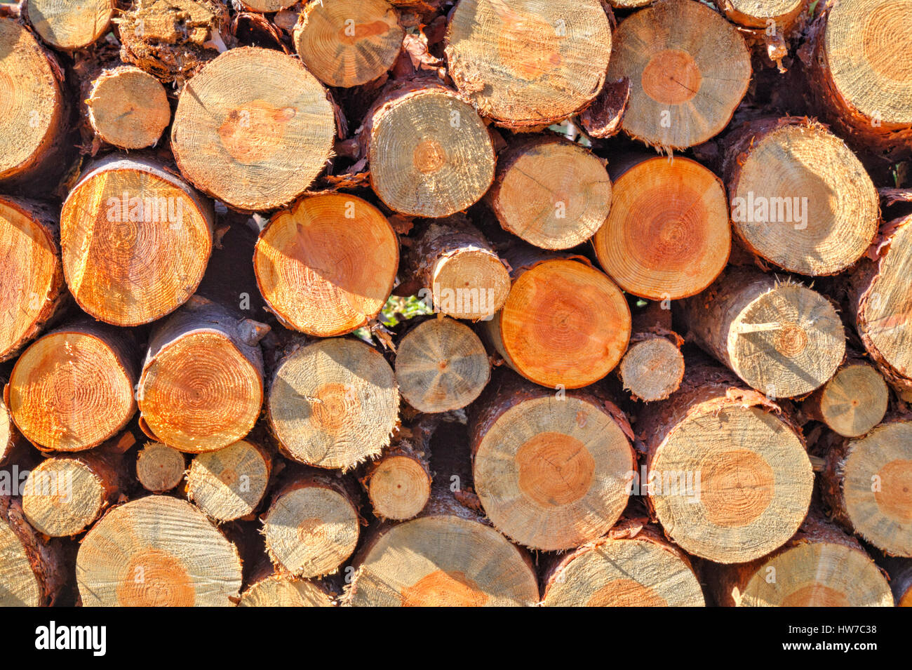 Timber background hi-res stock photography and images - Alamy