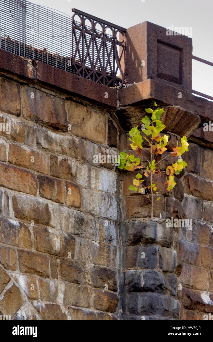 Railroad president hi-res stock photography and images - Alamy