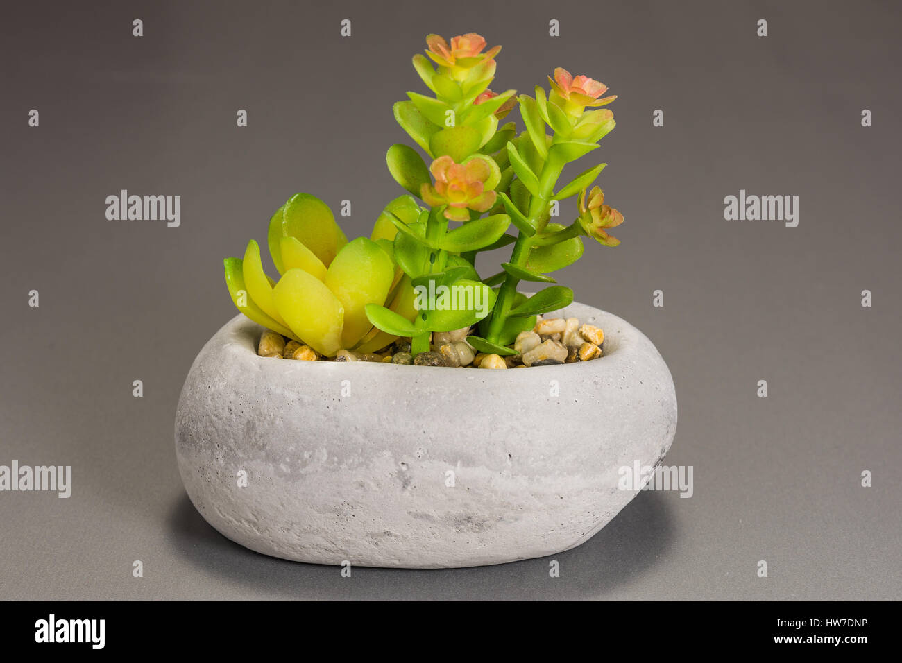 Beautiful floral decorations for the anniversary jubilee Stock Photo