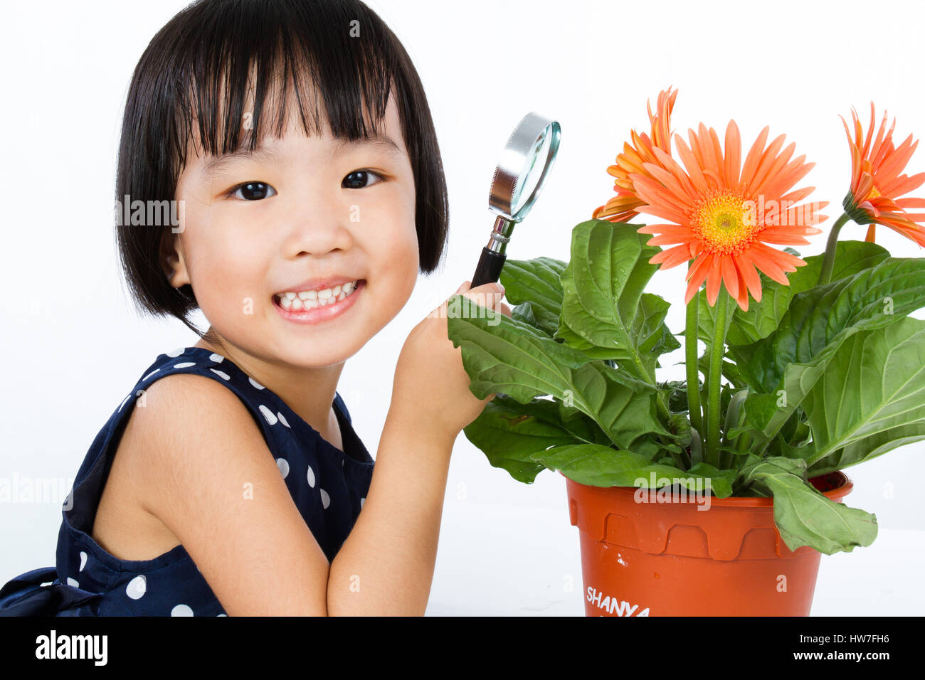 Girl looking flower magnifying glass hires stock photography and