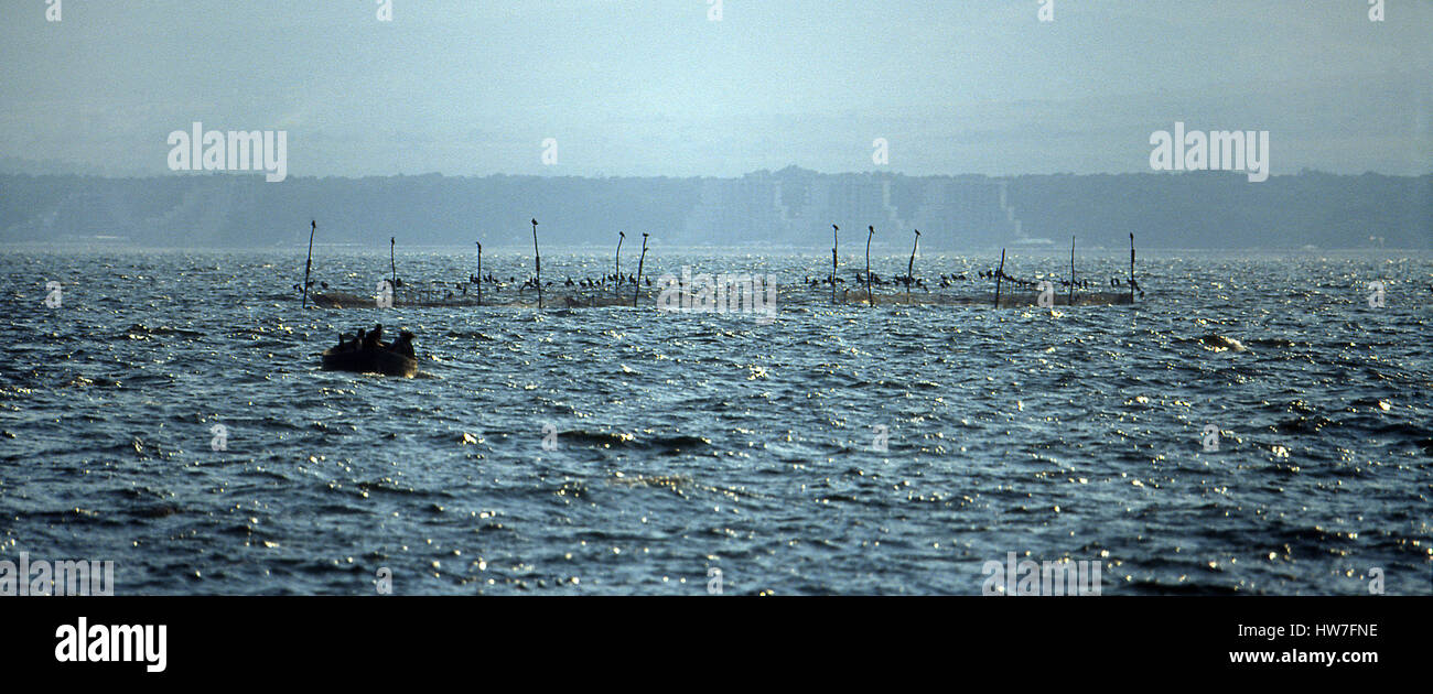 Fishing boat in Black Sea near Balchik, Bulgaria. Stock Photo