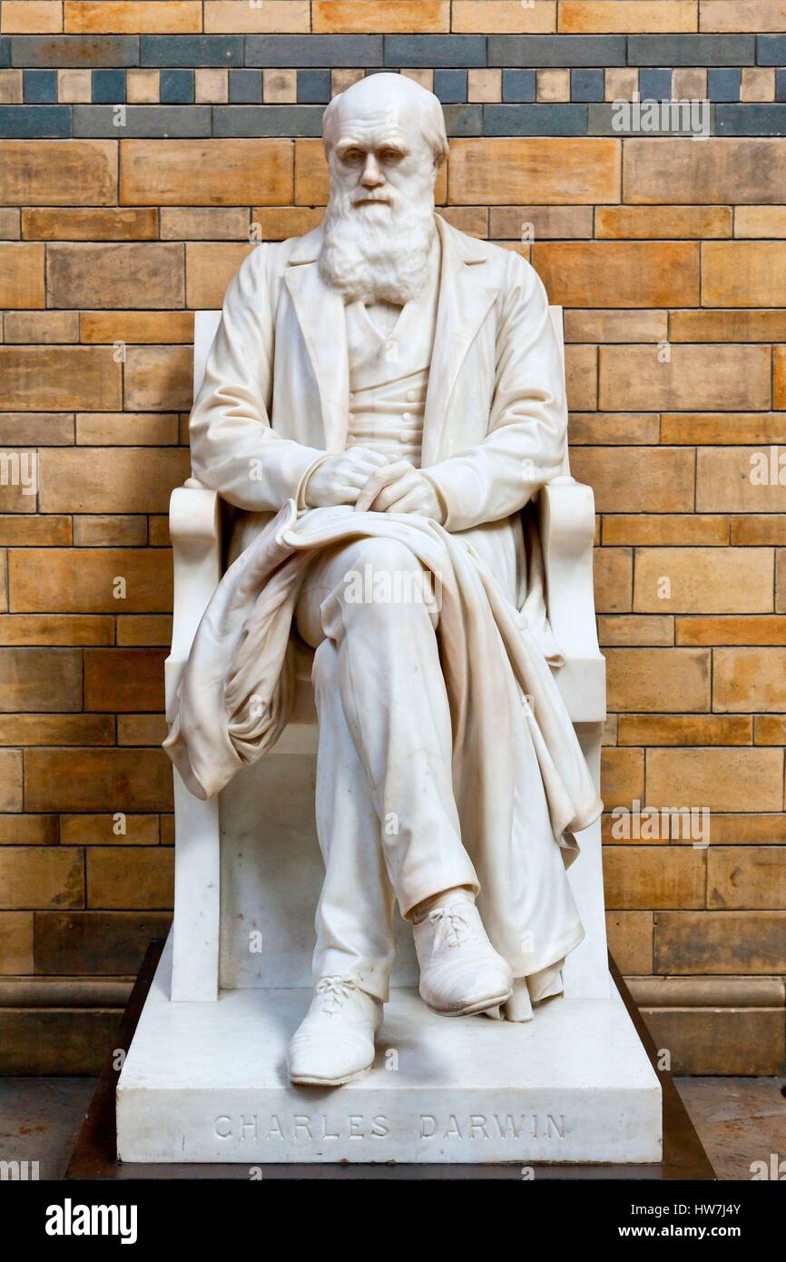 United Kingdom, London, Central Hall of the Natural History Museum, Statue of Charles Darwin Stock Photo