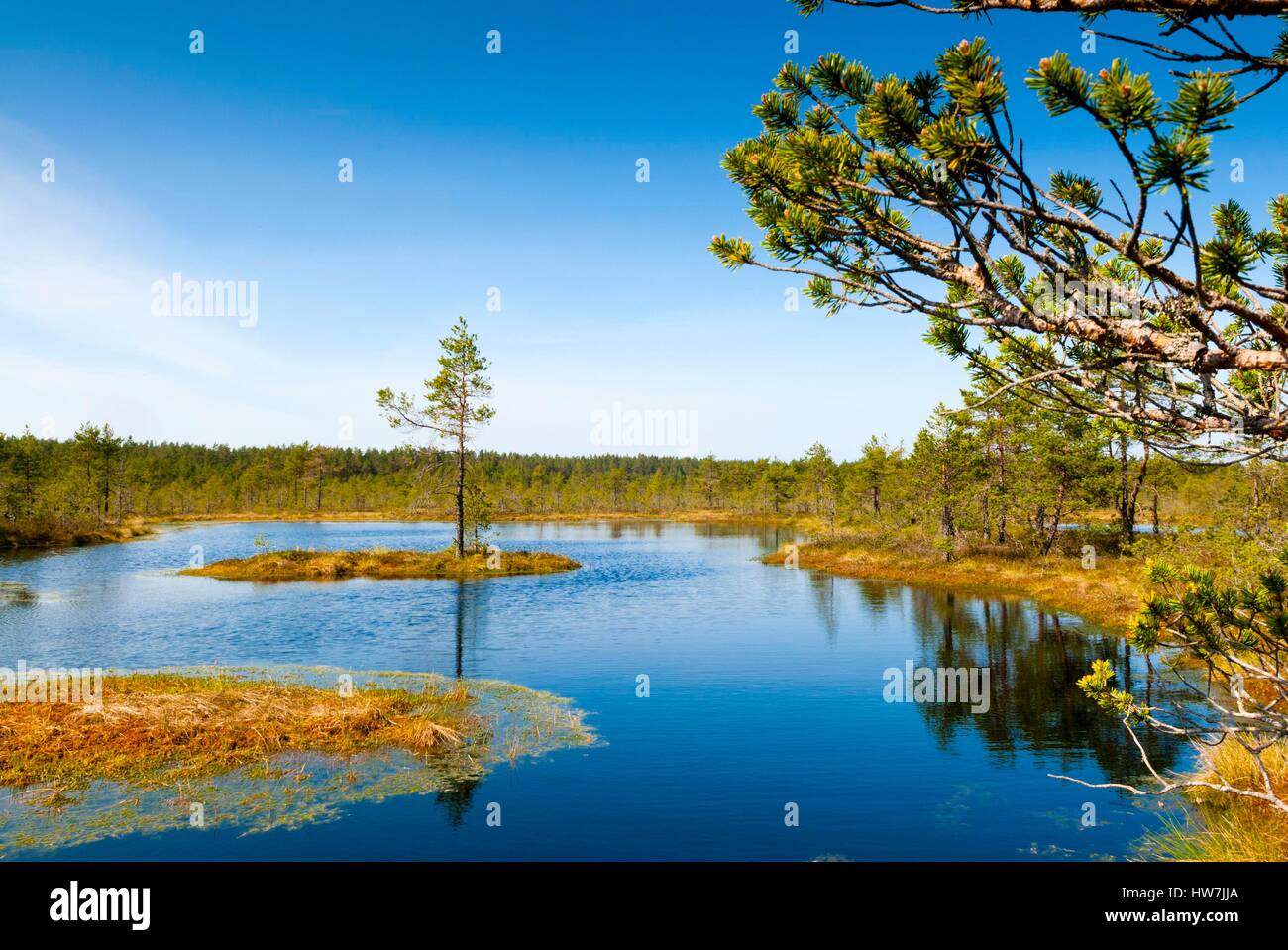 Estonia Baltic States Harju Region Laane Virumaa Lahemaa National