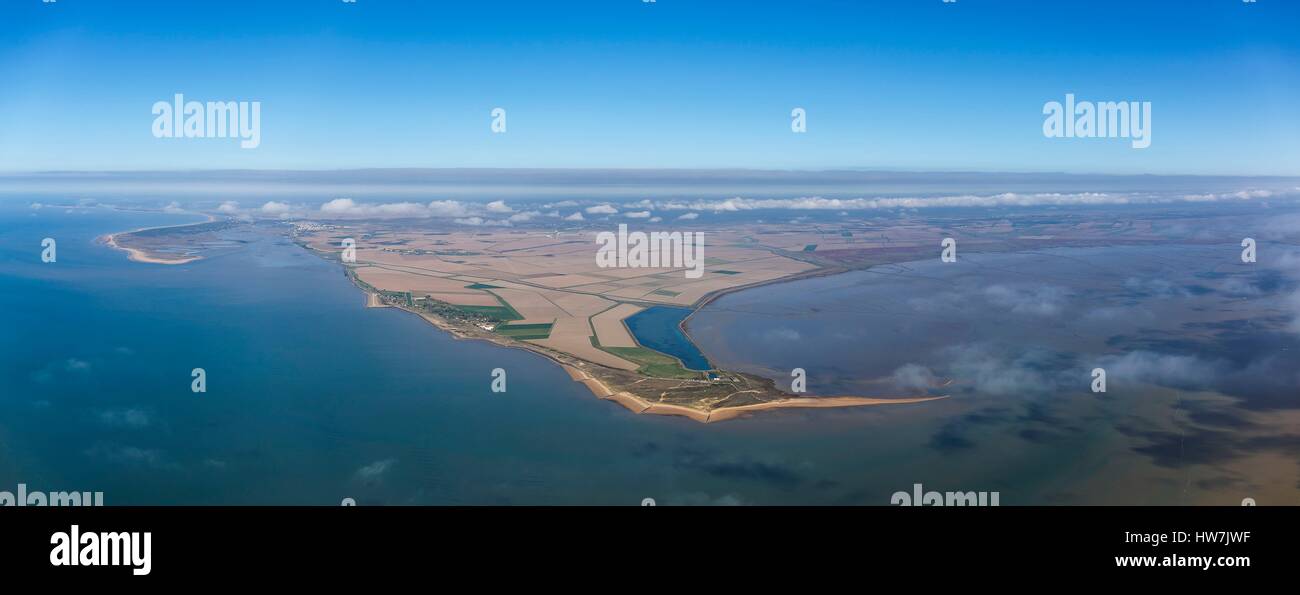 France, Vendee, L'Aiguillon sur Mer, the pointe d'Arcay, the pointe de