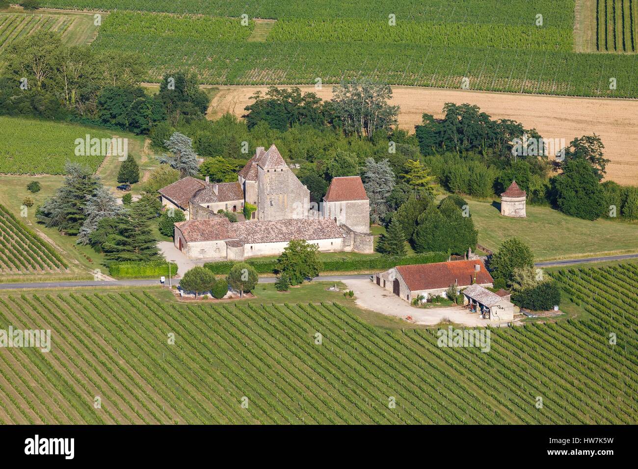 France, Gironde, Loubens, Lavison castle surrounded by Entre deux Mers vineyards (aerial view) Stock Photo
