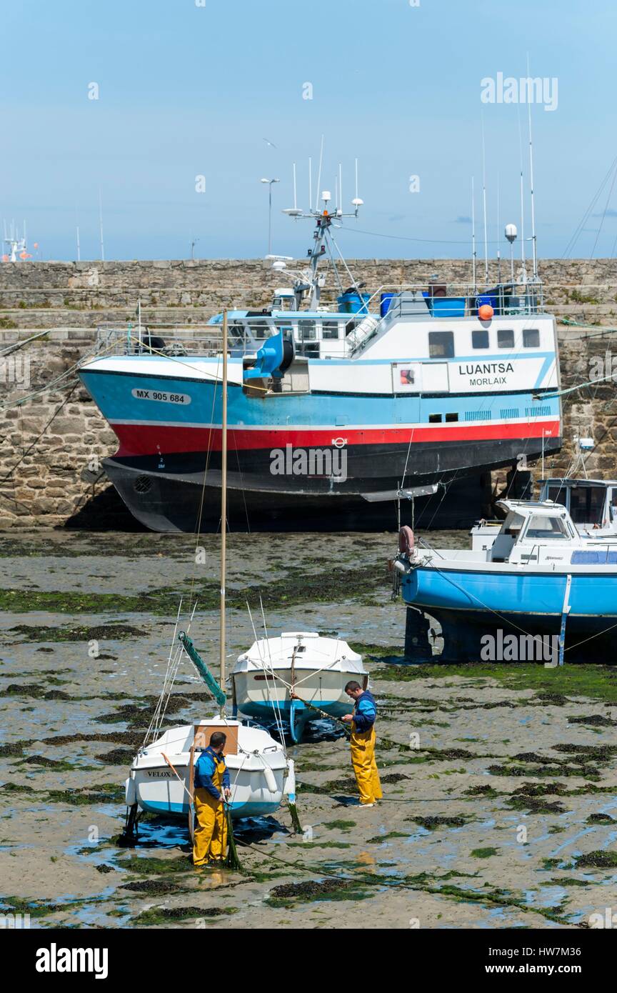 France, Finistere, Roscoff, fishing boats in the harbor at low tide ...