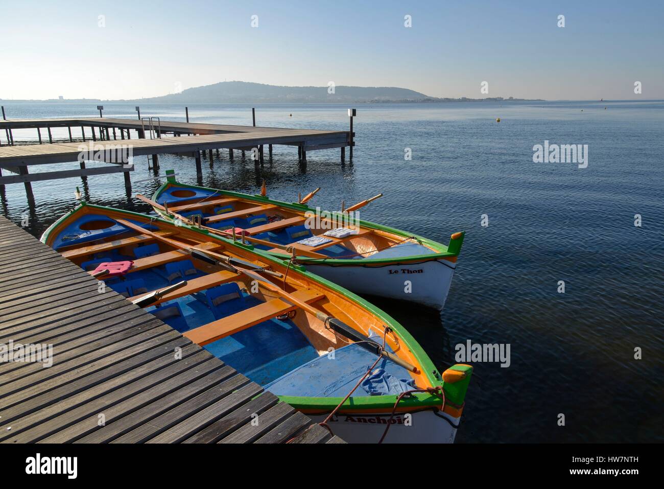 France, Herault, Thau pond, Balaruc les Bains, fishermen's traditional boats moored alongside a quay with the Saint Clair Mount in the background Stock Photo