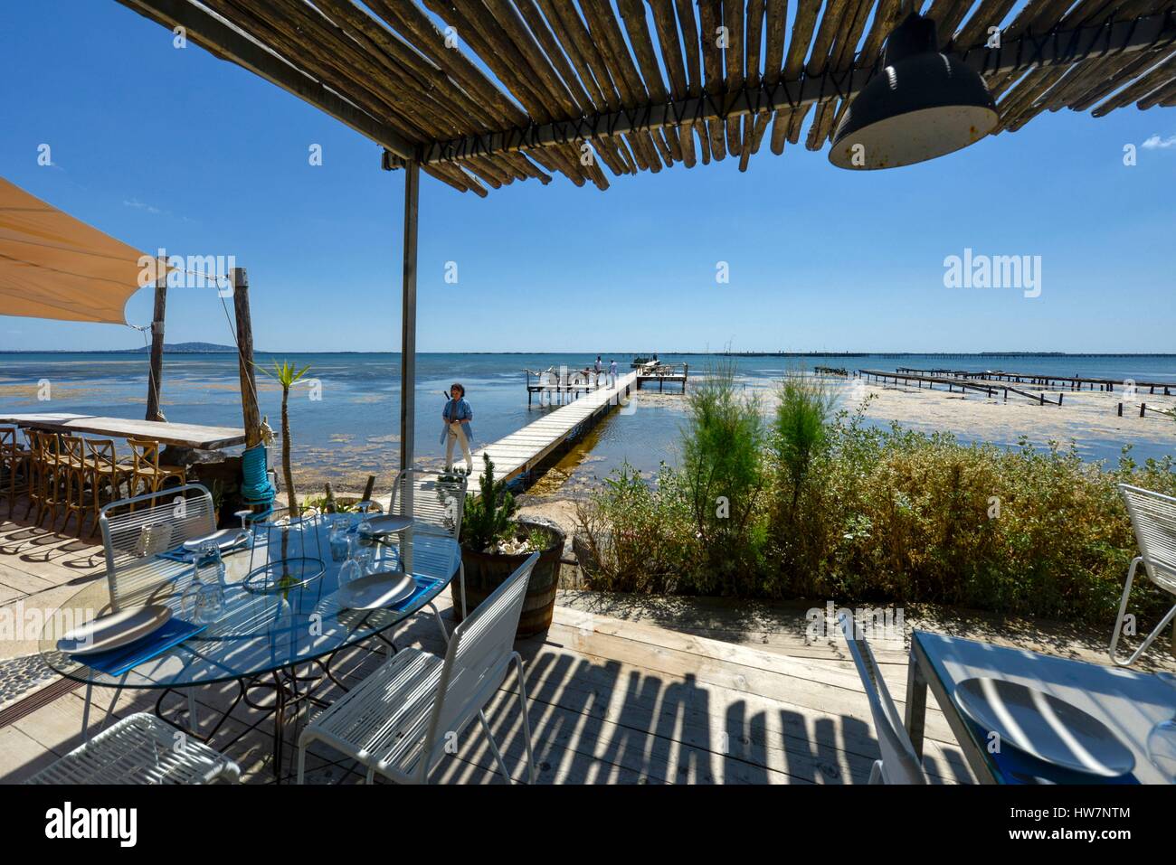France, Herault, Marseillan, Thau Pond, Mas Tarbouriech, St Barth restaurant, bank in the shade under reed screenings in front of a pond Stock Photo