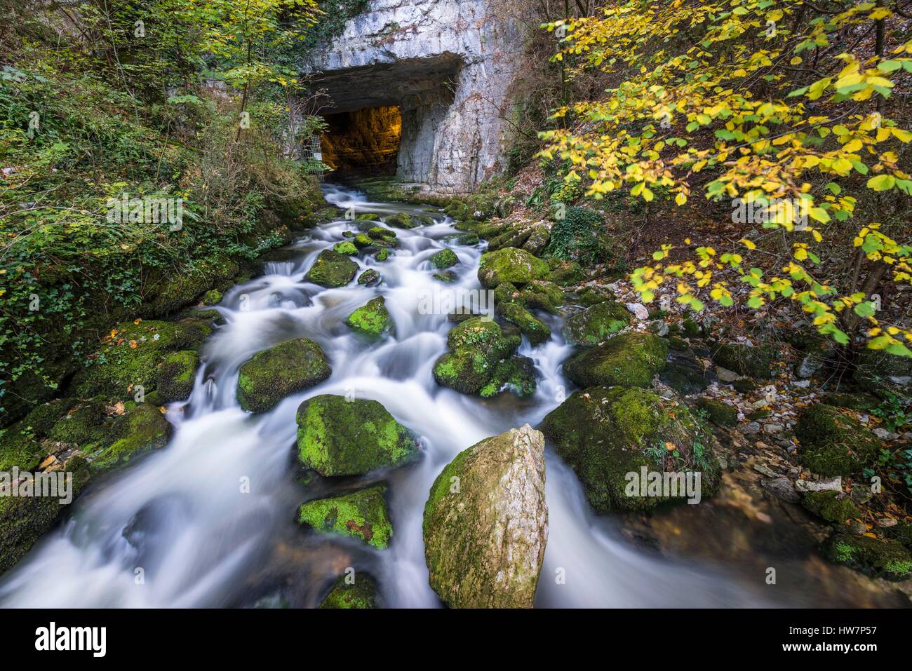 France, Isere, Sassenage, Furon river at the exit of Sassenage Tanks or Sassenage caves, at the foot of the Vercors massif Stock Photo