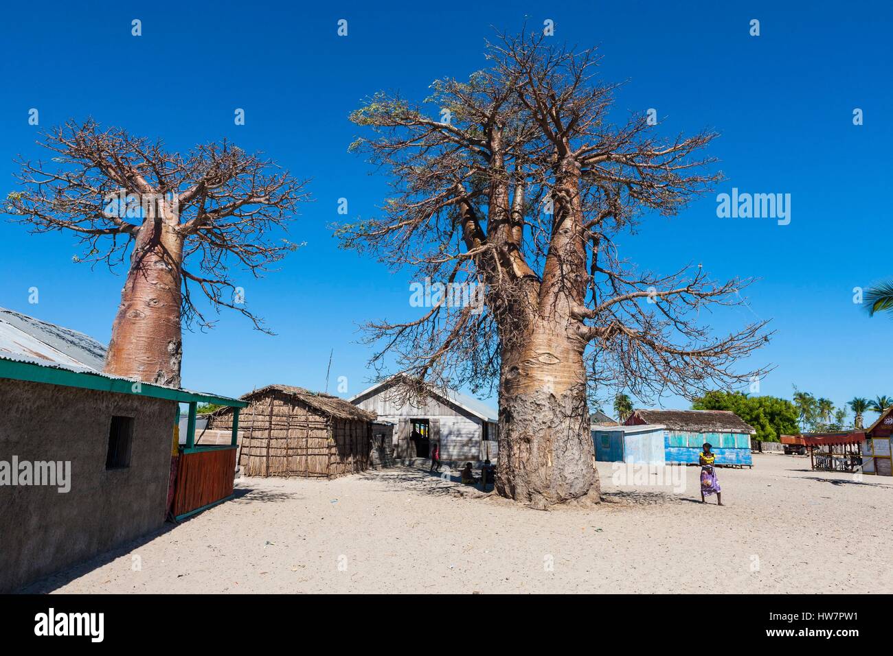 Madagascar, Menabe region, Belo sur Mer, woman and baobab in the village Stock Photo