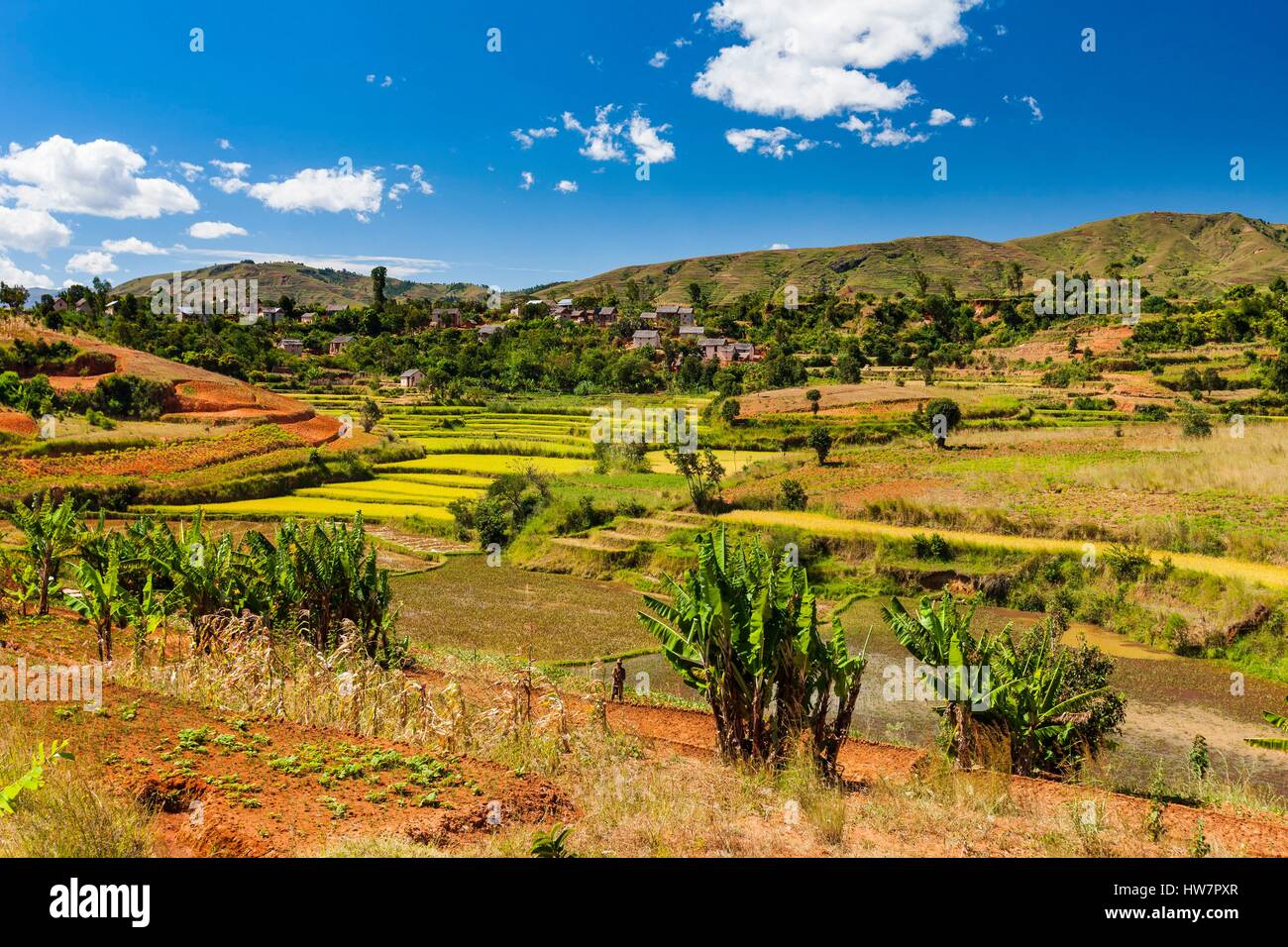 Madagascar, central highlands, ancient province of Antananarivo, Antsirabe and Betafo between, rice fields in the country of Betsileo ethnic group Stock Photo