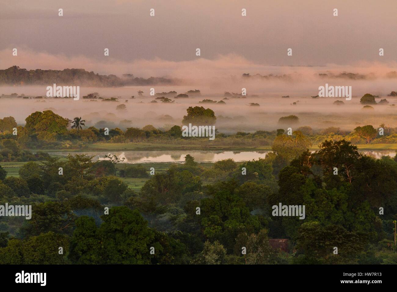 Madagascar, Southwest, region of Melaky, Bekopaka, morning mist Stock Photo