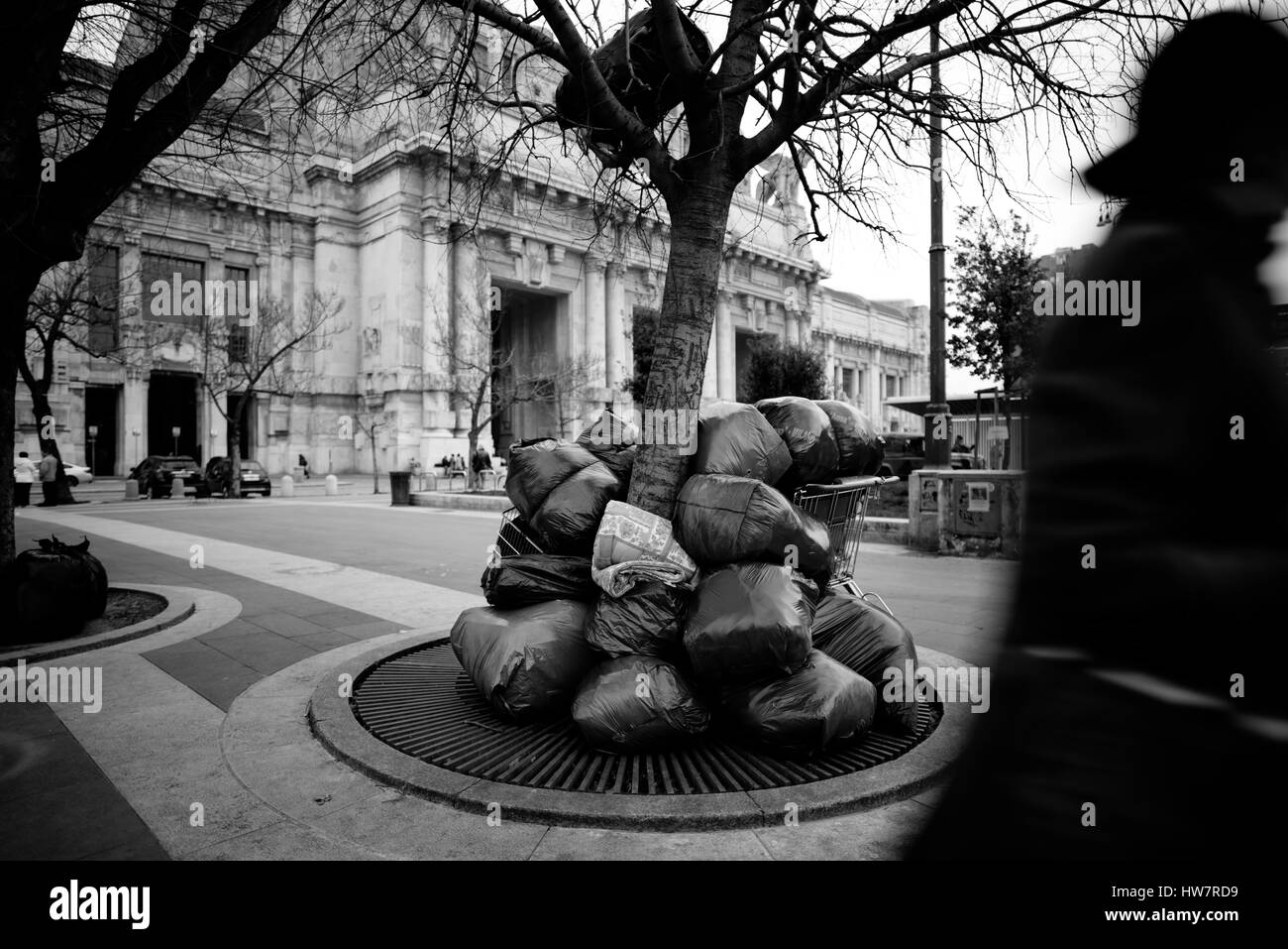 Milan, Italy. Mistreated tree. Bags of rubbish stacked on the public street Stock Photo