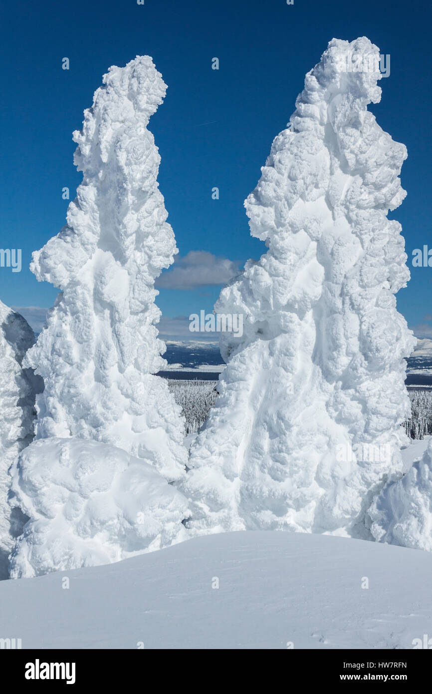 Ghost Trees on Two Top Mountain, West Yellowstone, Montana. Stock Photo