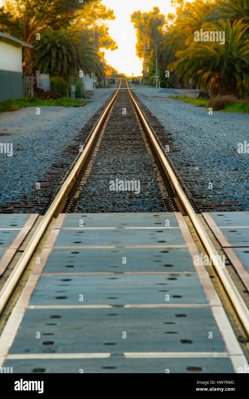 A vertical image of railway lines disappearing into the distance Stock Photo