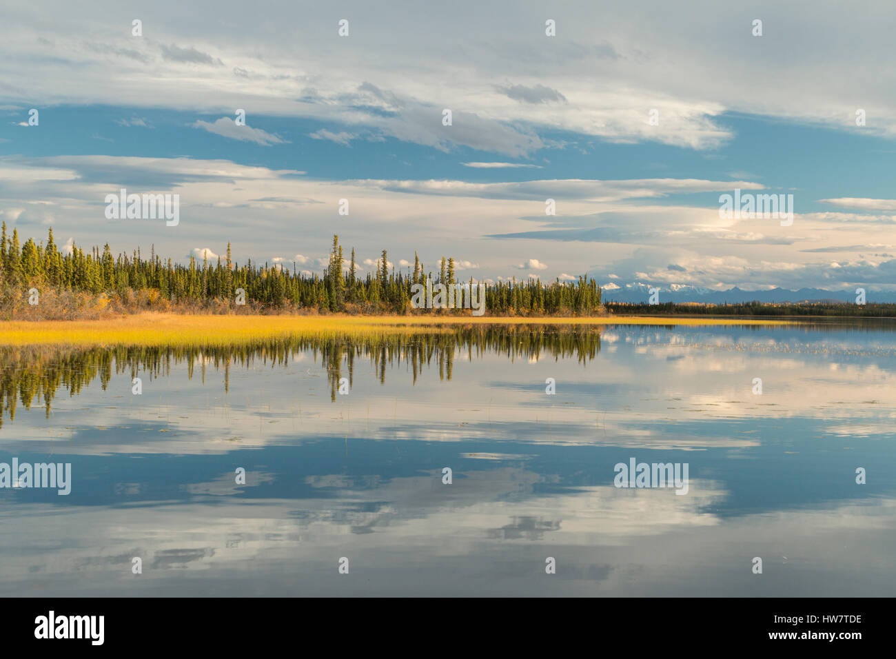 Reflection in Deadman Lake, Tetlin National Wildlife Refuge, Alaska. Stock Photo