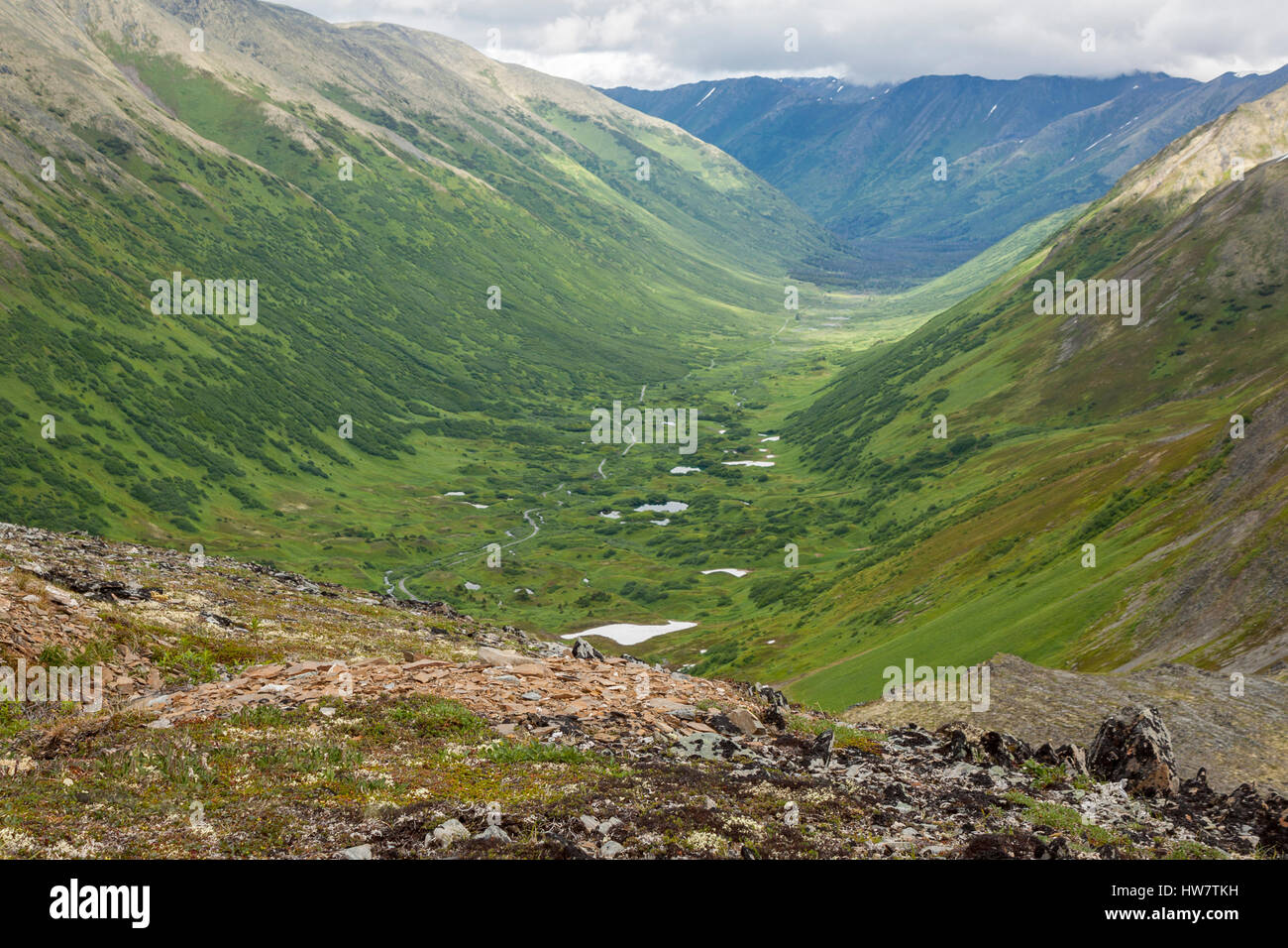 Palmer land hires stock photography and images Alamy