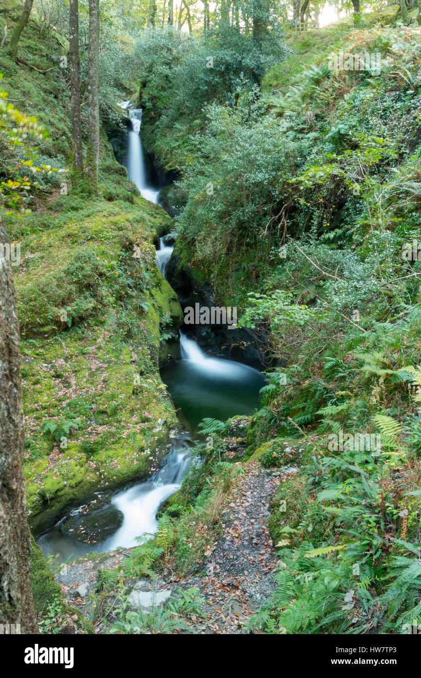 Poulanass Waterfall in Wicklow Mountains National Park, Ireland. Stock Photo