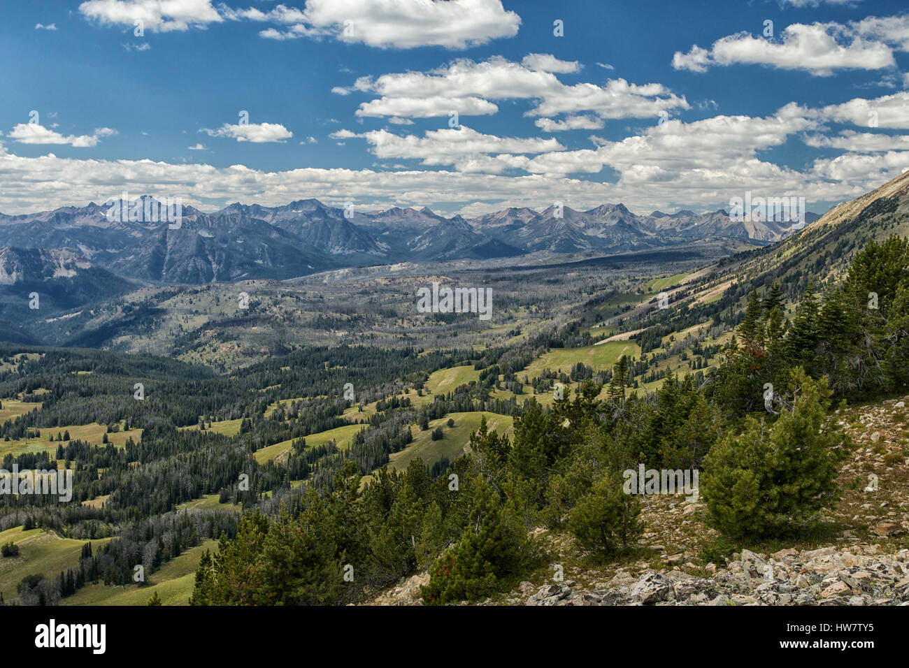 Madison Mountains from Skyline Ridge in the Lee Metcalf Wilderness, Montana. Stock Photo