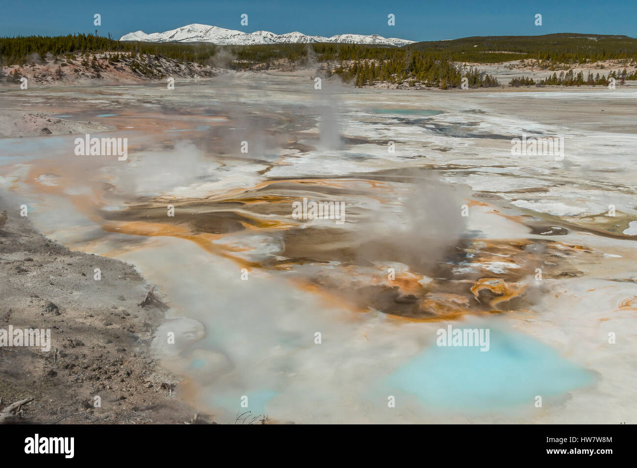 Porcelain Basin and Mt Holmes at Norris Geyser Basin in Yellowstone National Park, Wyoming. Stock Photo