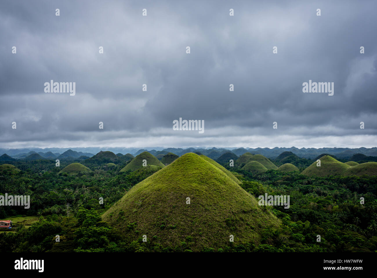 Impressive and Famous Chocolate Mountains of Bohol Island, Philippines. Stock Photo