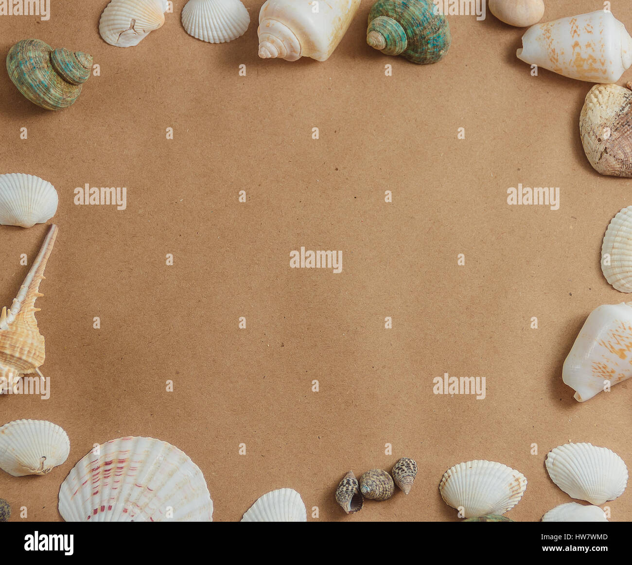 frame of seashells on light background Stock Photo - Alamy