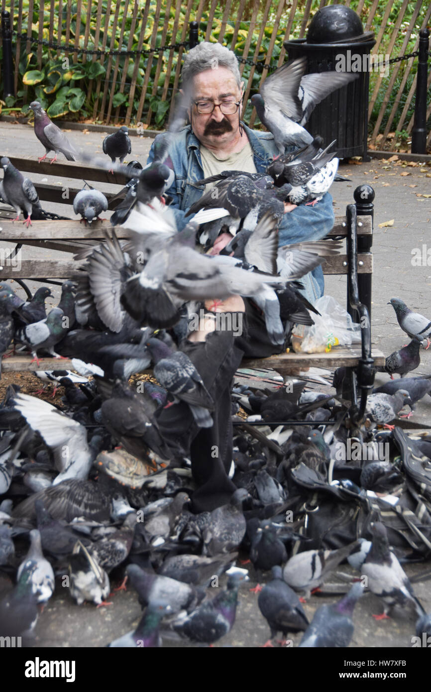 Portrait of Paul, the man who feeds the pigeons in Washington Square Park Greenwich Village Manhattan New York City Stock Photo