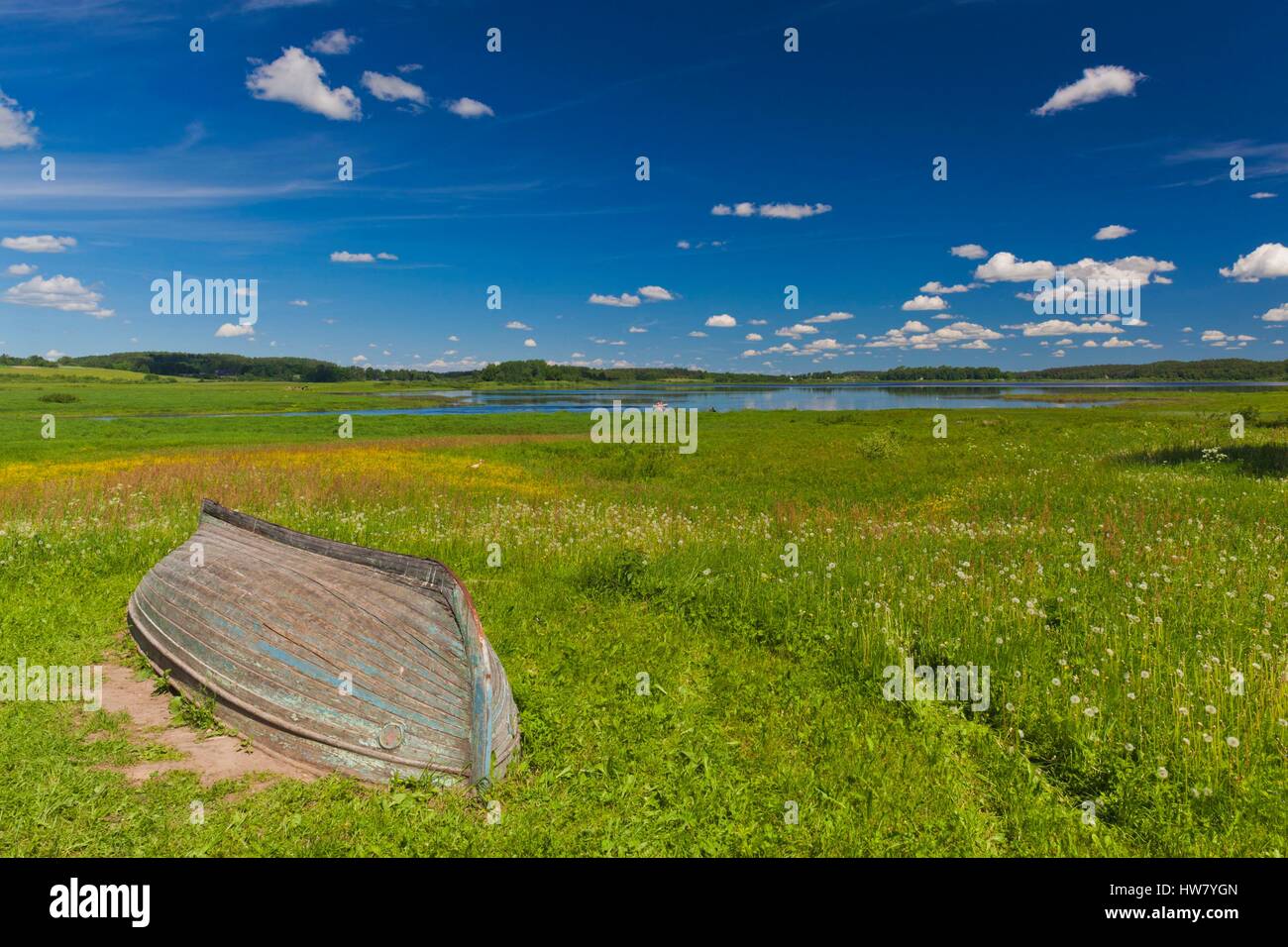 Russia, Pskovskaya Oblast, Pushkinskie Gory, landscape at Mikhailovskoye, the Alexander Pushkin Preserve, estate of famous Russian poet Stock Photo