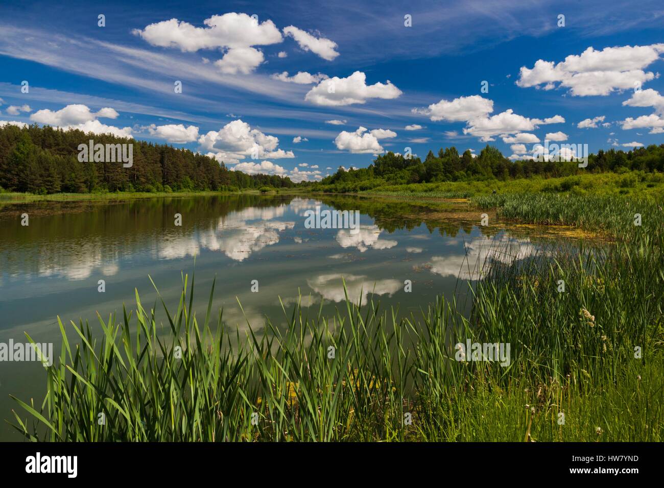 Russia, Pskovskaya Oblast, Pushkinskie Gory, lake at Mikhailovskoye, the Alexander Pushkin Preserve, estate of famous Russian poet Stock Photo