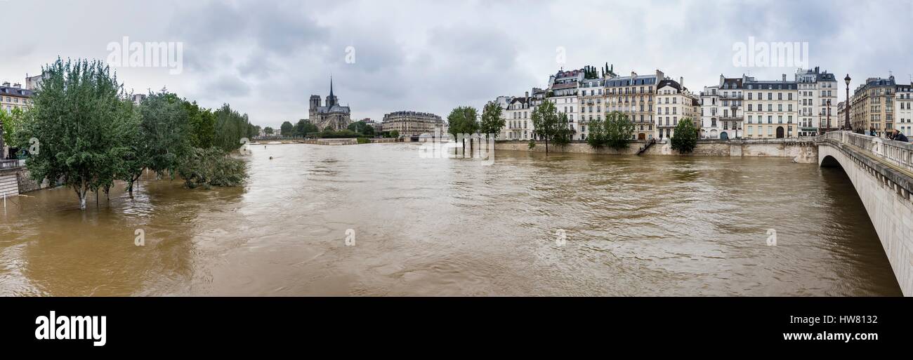 France, Paris, classified area World Heritage of UNESCO, the flood of