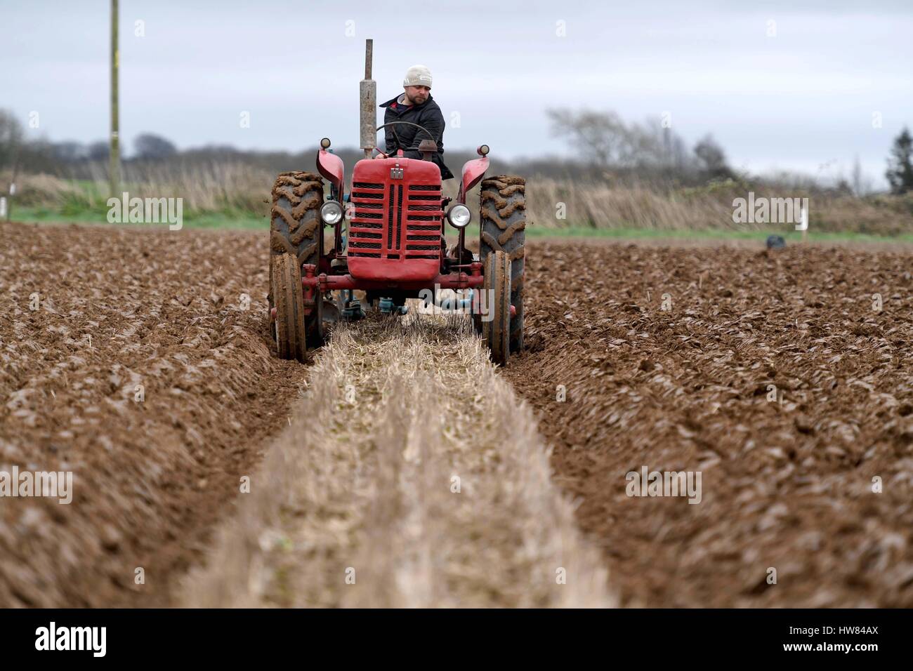 Tractor Ploughing match, vintage tractors, Dorset, UK Stock Photo