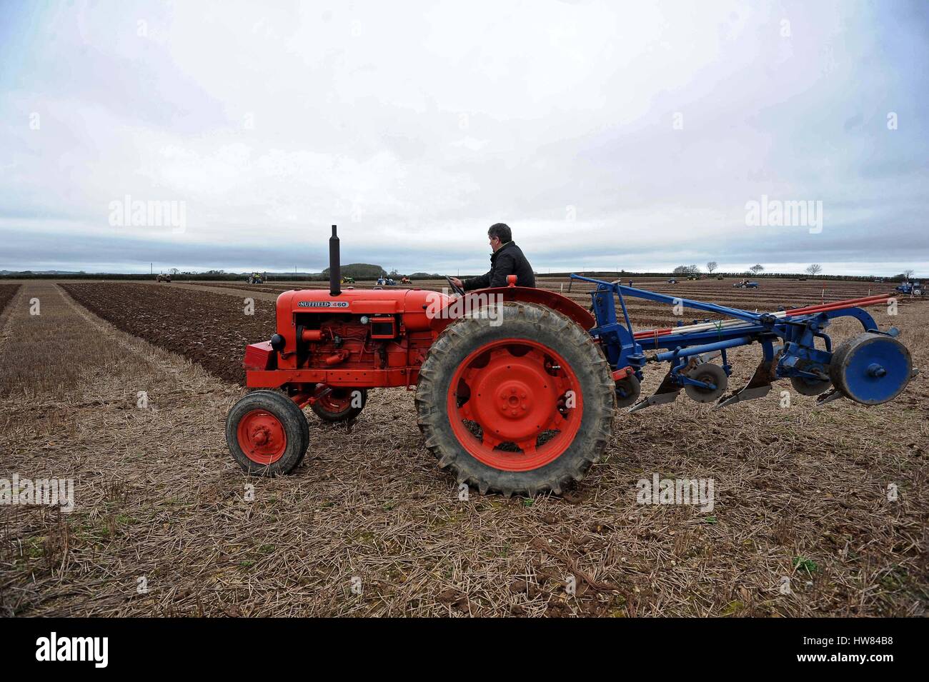 Tractor Ploughing match, vintage tractors, Dorset, UK Stock Photo Alamy