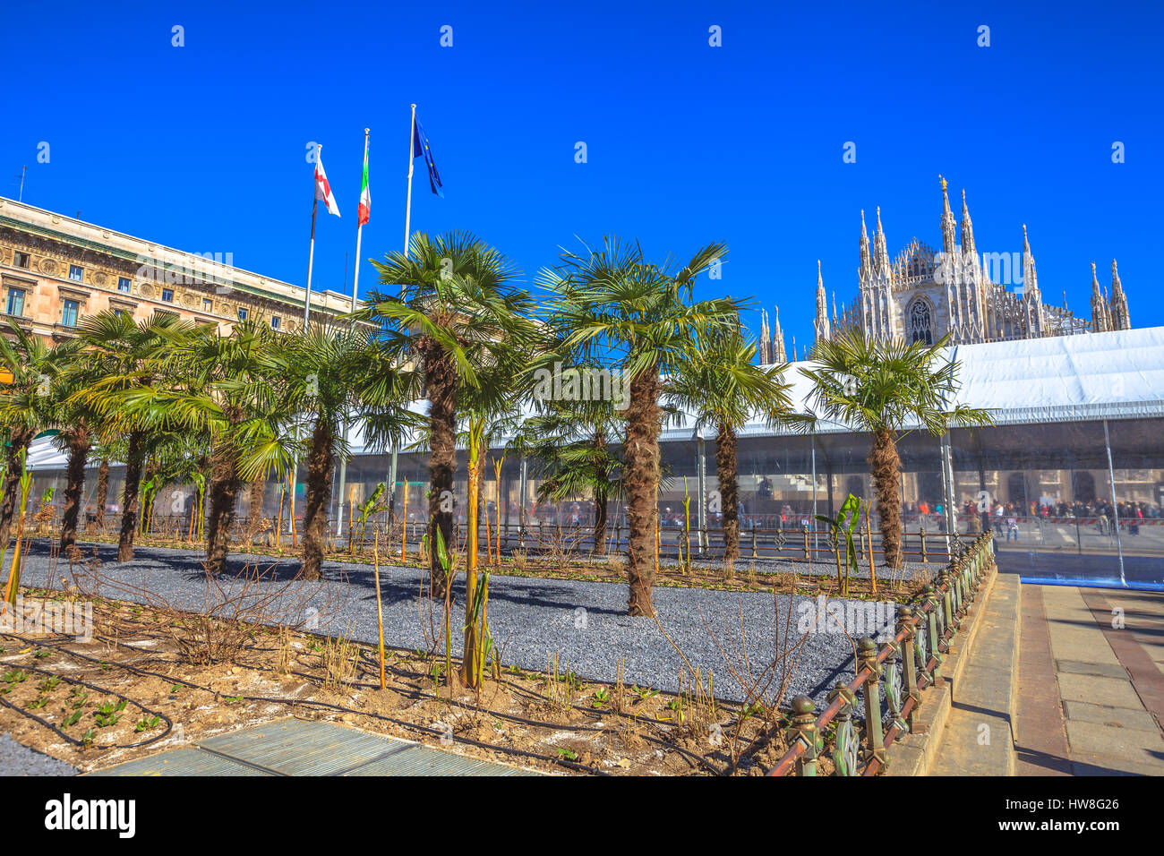 Famous Milan Dome Cathedral, the Duomo in a blue sky day. Tourists and new palm and banana trees planted in front square Piazza Duomo of Milano in Ita Stock Photo