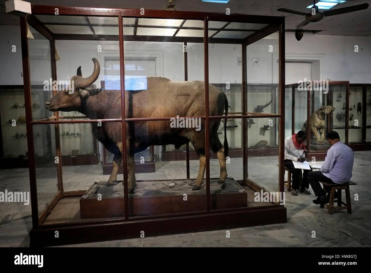 Bihar museum in patna hires stock photography and images Alamy