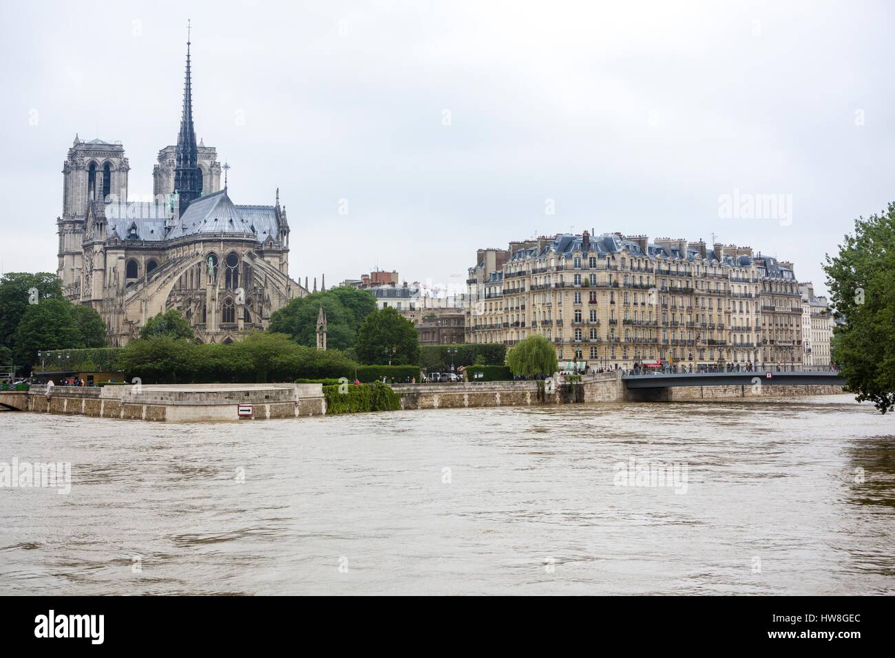 Image result for notre dame flood