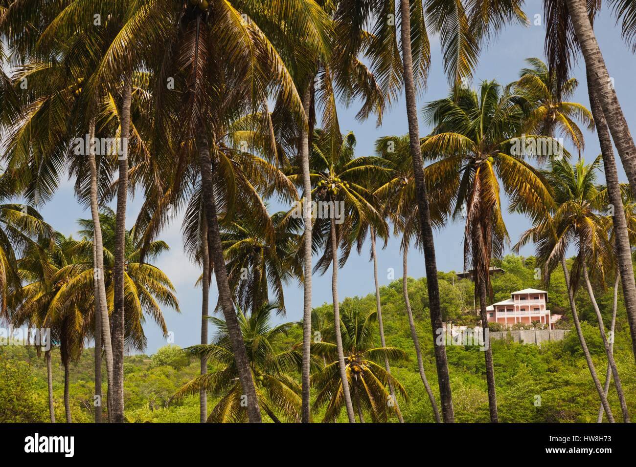 St. Vincent and the Grenadines, Bequia, Industry Bay, house Stock Photo