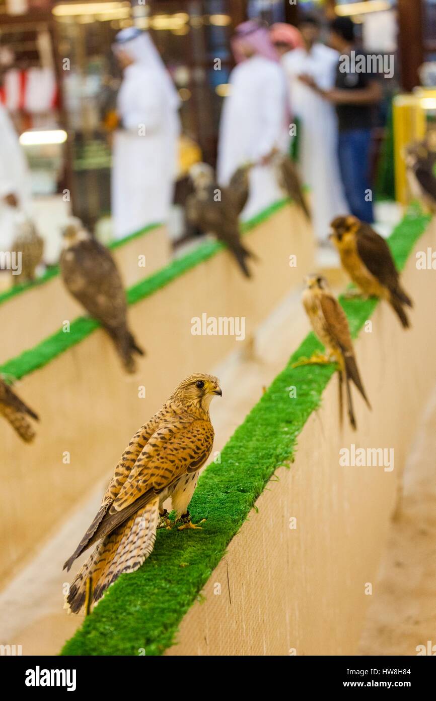 Qatar Doha Falcon Souq Market Of Falcon Birds For Sale