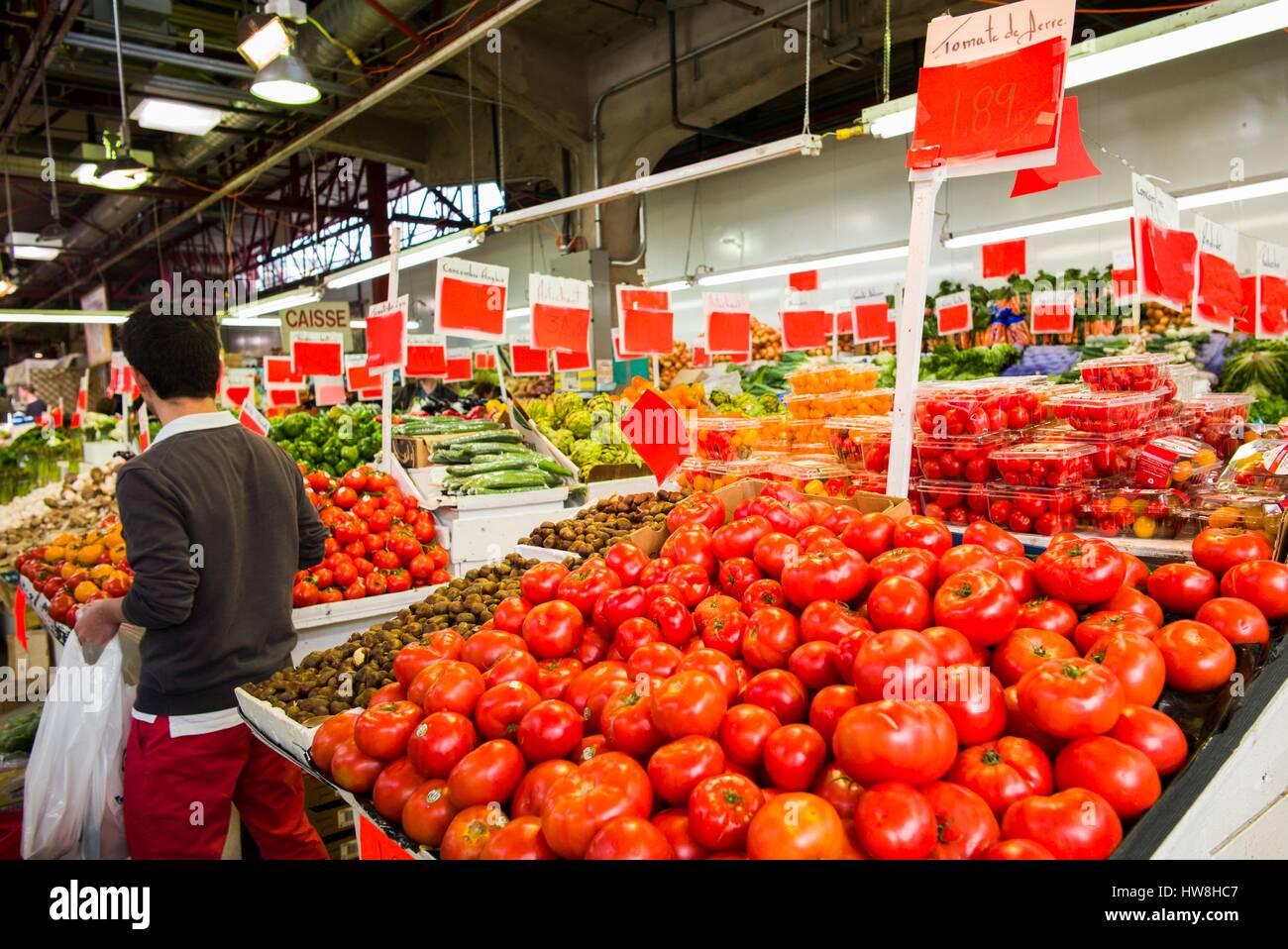 Canada, Quebec, Montreal, Marche Jean Talon market, tomatoes Stock Photo