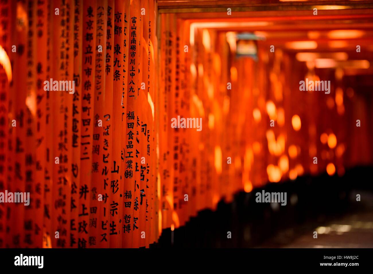 Japan Honshu Island Torii Gates At The Fushimi Inarii Temple At Inari Kyoto Stock Photo Alamy